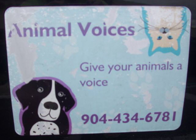 Animal Voices PT Cruiser